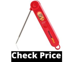 Best meat thermometer for smoking