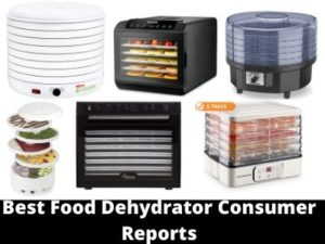 Best Food Dehydrator Consumer Reports Reviews 2020