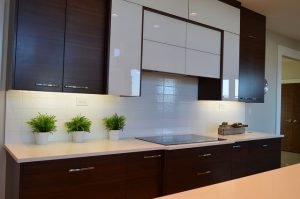 Best Kitchen Cabinets on a Budget 