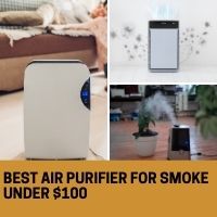 Best Air Purifier For Smoke Under $100